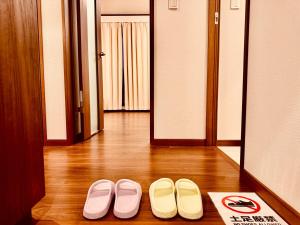 Nexus Villa Morishita