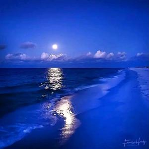 Blue Moon Villa