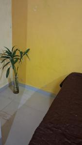 Cozy 1bhk In Rajkot
