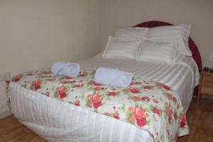 Posada Basiliza, Encarnación PY