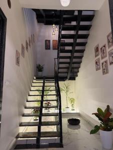 Nesara the nature villa