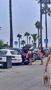 Beachfront 2 BD Apartment & Private Garden