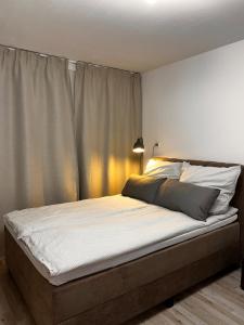 Centrally located 1 room apartment in Ulm with Ulmer Münster view