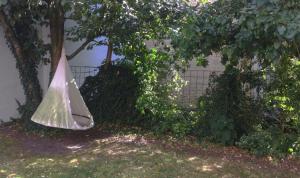 Greenbrook Homes - Jungle Suite