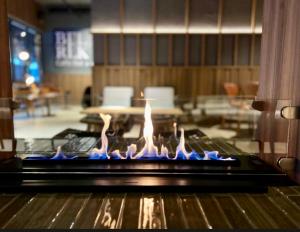 Apartman Snezni Vrh - Bela Reka, Brzece