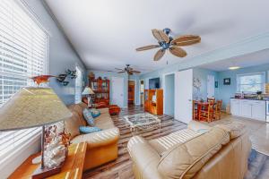 AVHC61 The Green Turtle