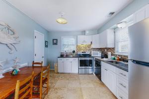 AVHC61 The Green Turtle