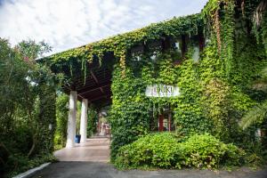 Appartements Les Collines Iduki : photos des chambres