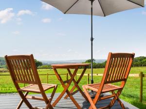 Llandremor Fawr Lodge - Uk50336