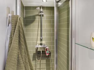 Llandremor Fawr Lodge - Uk50336