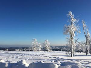 Friedas Ferienhaus in Olsberg-Bruchhausen