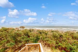 BXOL44 Sea Star #44-B