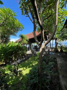 beach side Amed Delem family