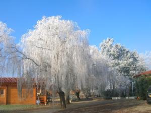 Hotel Auberge du Flambadou Villematier Francja