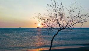 Resort entre mar y montaña full amenities