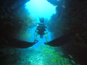 Island Scuba