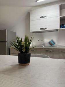 Alofera and Sialuna House img1