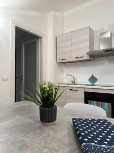 Alofera and Sialuna House img13