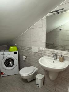 Alofera and Sialuna House img44