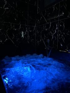 Bien calme et spacieux avec baignoire balneo