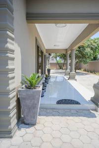 elevate living fully furnished house