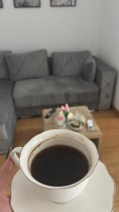 Apartman K10A5 Zlatibor