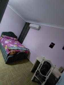 شقق فندقية بالاسكندرية