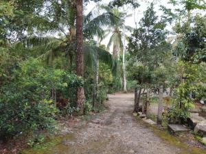 Jayawila Holiday Home