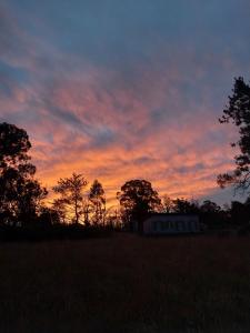 La chapita bosque y mar