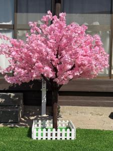 yumigahama Eaglehouse