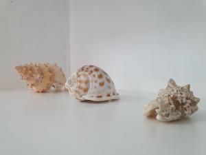 Playa, sol y vida en Salou - PortAventura