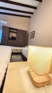 Mono ambiente Zona Conmebol