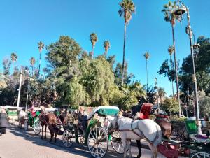 Riad médina rooftop 19