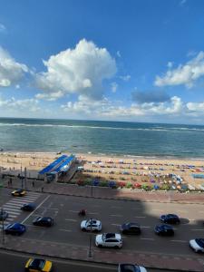 شقة اسكندرية