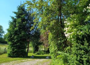 Dom z ogrodem na Mazurach
