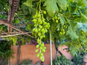 Beach Family House 450m to the beach