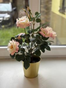 Heart of the City Apartments 3