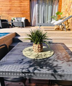 Villa Carmen avec petite piscine privée