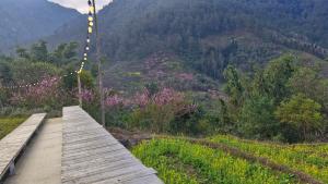 Tổ Ếch Homestay