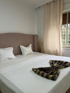 Apartment with independent entrance in the center M5