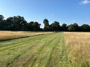 Bs Lodge at Church Elms Farm