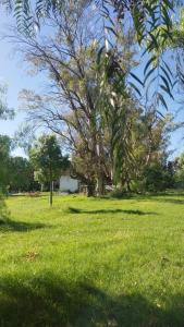La Nave Bosque y Rio