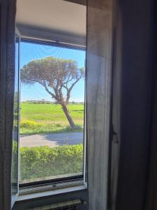 Il casale di Maccarese