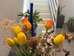 Nereide home 350 sqm with large garden