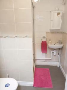 Ultra-Central Leicester - Uni, Stadium & City