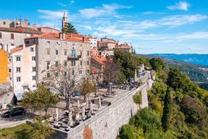 Relaxing Garden Apartments Labin - Indira