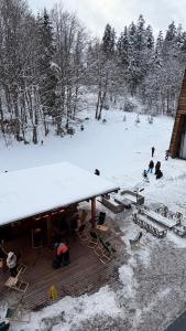 Kokhta Mitarbi Porsche apartment Rooms hotel