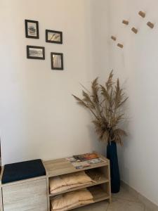 Kite Village Solaris