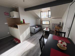 Hirondelles 5 avec terrasse