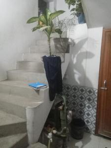 Alokik